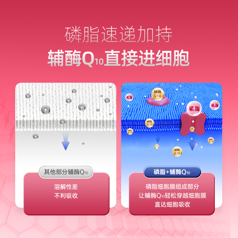 Fengshi Coenzyme Q10 Capsules 30 capsules/box